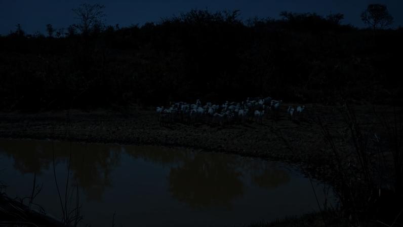 Montes Claros decreta situação de emergência devido à estiagem
