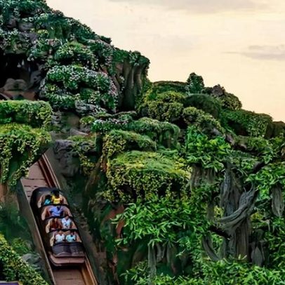 Adolescente cai de atração da Disney em queda de 15 metros