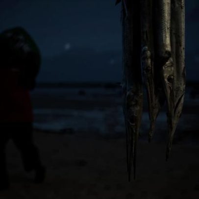 Quênia amplia coleta de dados da frota artesanal para melhorar pesca