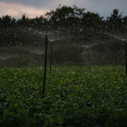 Uso social da água molda o futuro do desenvolvimento brasileiro