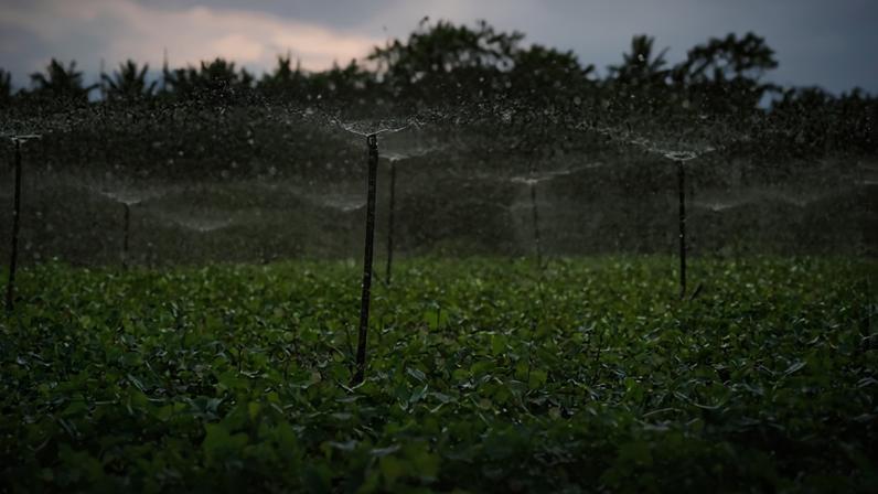 O Brasil possui atualmente cerca de 10 milhões de hectares irrigados. Estudos apontam que o país tem potencial para superar 55 milhões de hectares até 2050.
