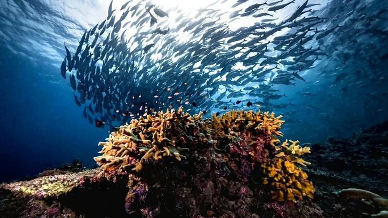 Os oceanos cobrem mais de 70% da superfície do planeta e exercem papel essencial no equilíbrio climático global — Foto: Getty Images