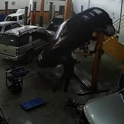 Carro despenca de elevador e quase atinge mecânico em oficina