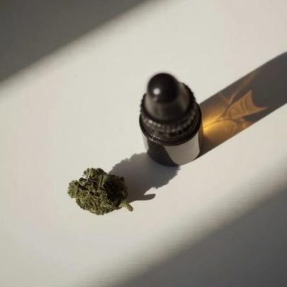 Uso diário de óleo de CBD pode saturar o fígado
