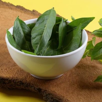 Ora-pro-nóbis: explorando usos culinários e ambientais além do prato tradicional