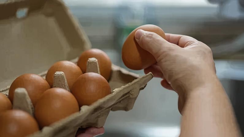 Ovos podem trazer diversos benefícios para a saúde, por serem ricos em proteína, vitaminas e minerais