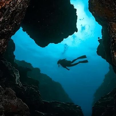 Turistas ajudam a monitorar tubarões ameaçados em Okinawa