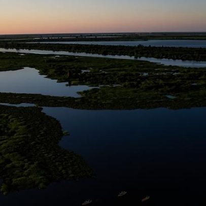 Dia Mundial do Meio Ambiente: Senado reforça agenda climática com novos projetos