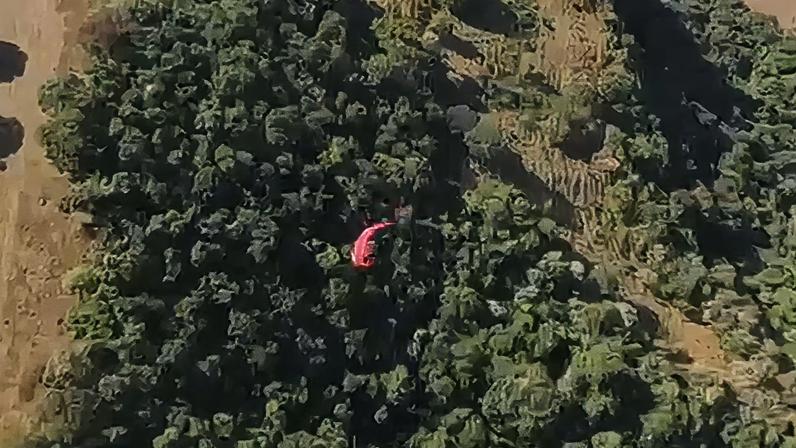 Parapente laranja usado pelo piloto que morreu em acidente em Santo Antônio da Alegria, SP — Foto: Redes Sociais