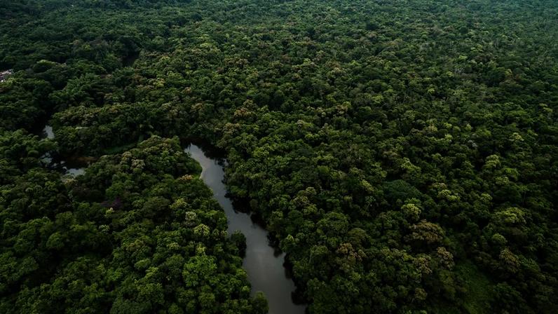 No lugar da lógica do conflito entre o agro e a conservação ambiental, o estudo sugere um conceito chamado de “contínuo florestal”, no qual diferentes usos da terra, como áreas produtivas, florestas plantadas, reservas legais, unidades de conservação e terras indígenas, formam um sistema integrado.