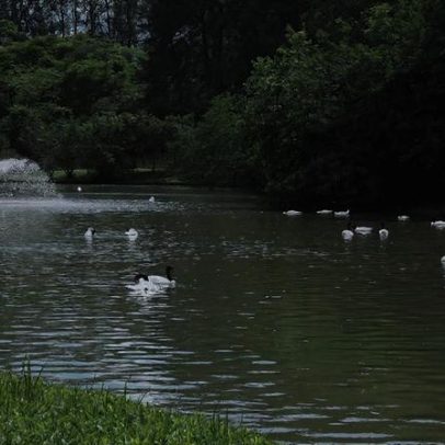 Zoológico no RS mantém suspensão de visitas após morte de 36 aves