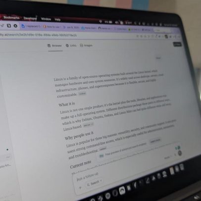 Substituí o Google Search por DuckDuckGo e Perplexity; resultados foram melhores