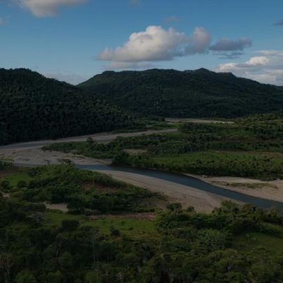 As ideias que moldam a ação ambiental