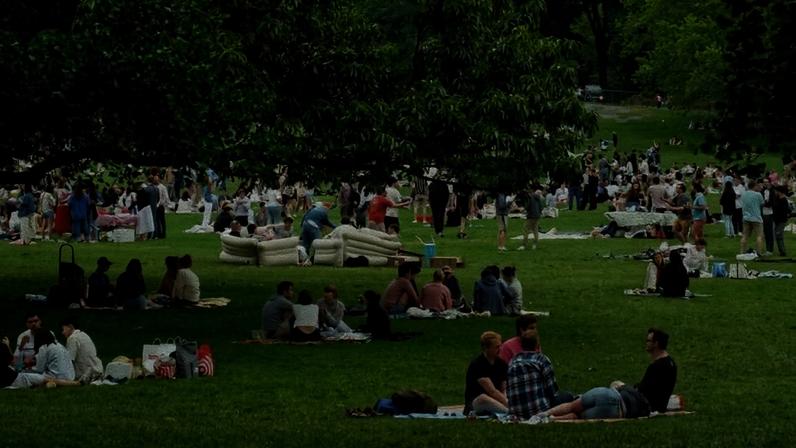 Amigos e pessoas envolvidas em uma mesma atividade apresentaram maior sincronização dos batimentos. É o que indica um estudo feito durante viagens de quatro dias por Nova York