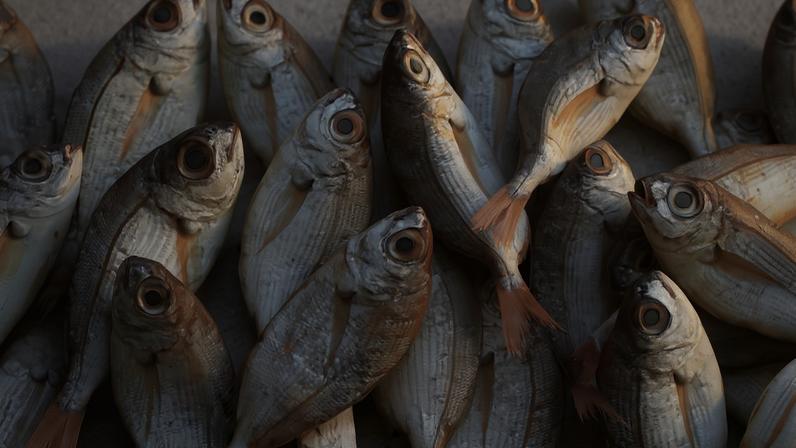 Pescado (Foto: Mali Maeder/Pexels)