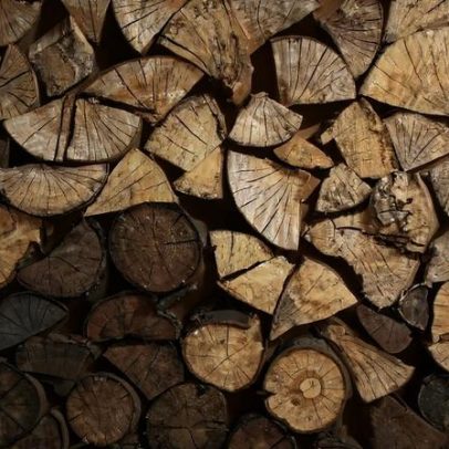 ONG britânica denuncia importação de madeira irregular da Amazônia para a Europa