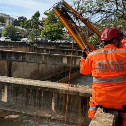 MG: potro resgatado de rio, mas precisa ser sacrificado