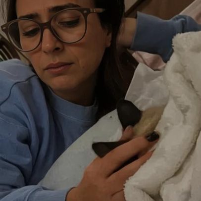 Tatá Werneck revela morte de gato e desabafo emocionante