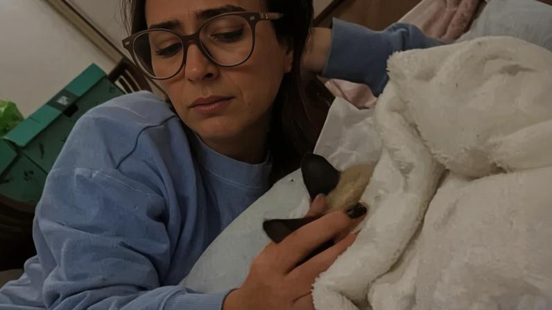 Tatá Werneck e o gato Chico
