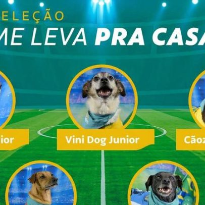 Cães Neydog e Caramelo Ronaldo entram em campo por adoção
