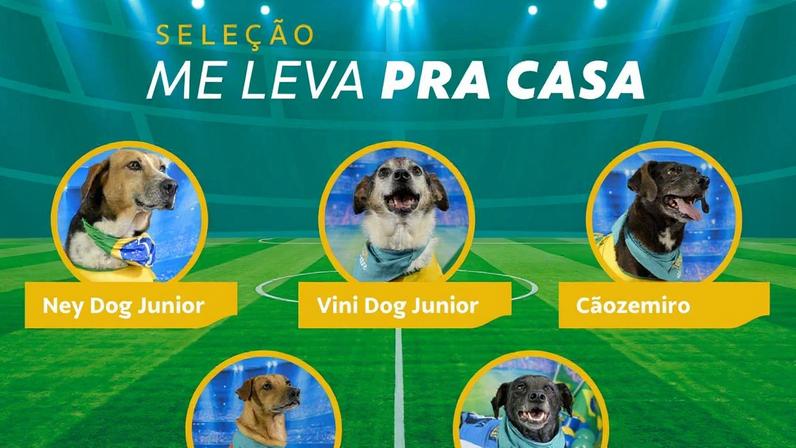 Neydog e Caramelo Ronaldo: cães entram em campo por adoção