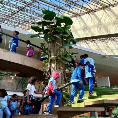 Alunos de Sobradinho visitam exposição Constelações Contemporâneas