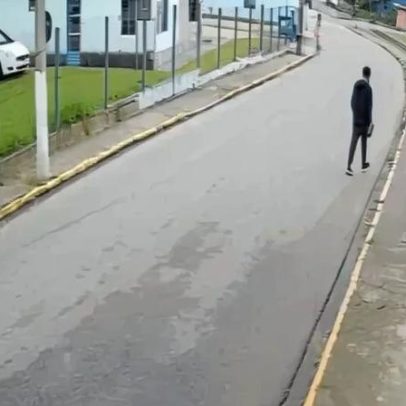 Pit bull em via pública ataca jovem, vítima relata medo