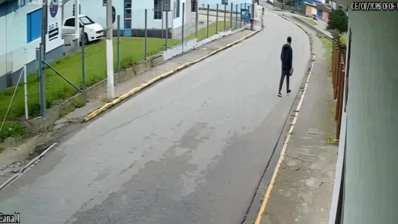 Imagem colorida,Pitbull em situação de rua ataca jovem: “Achei que ia me estraçalhar”- Metrópoles
