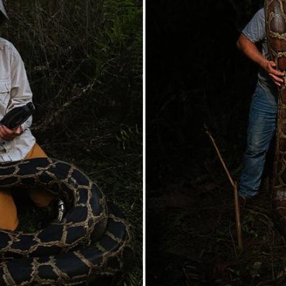 Caçadores capturam 3,6 t de cobras invasoras para suposto sacrifício