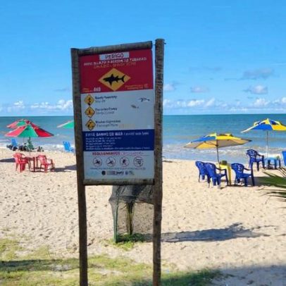 Especialista afirma que ataque de tubarão provocou choque mecânico intenso