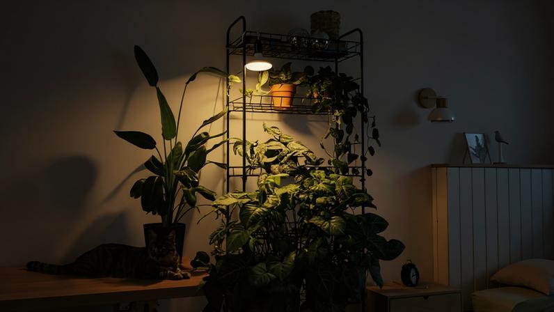Suporte para plantas/adubo/residuos
