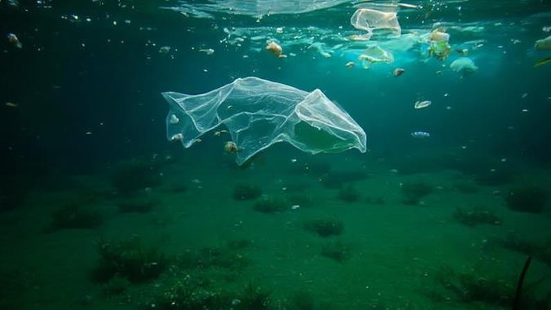 DESAFIO Lixo plástico: sem descarte correto vai para os oceanos (Rich Carey/Shutterstock)