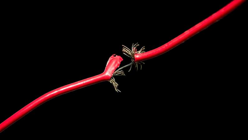 Photograph: WLADIMIR BULGAR/SCIENCE PHOTO LIBRARY/Getty Images