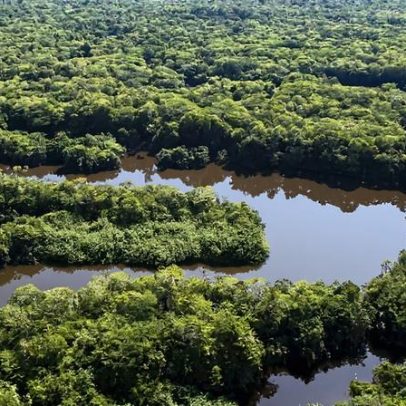 Amazônia em disputa: limites do Acordo de Escazú em análise