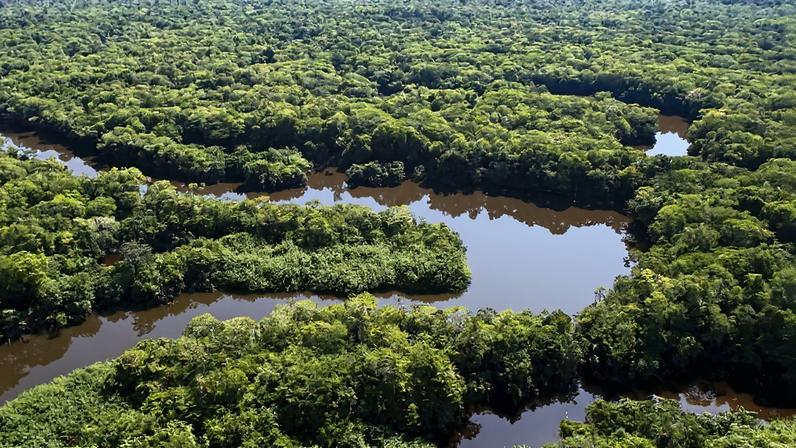 Amazônia é considerada fundamental para manutenção do clima em todo o planeta