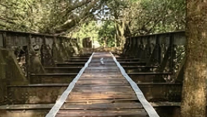 MG: comprador de ponte histórica furtada diz que aquisição foi regular