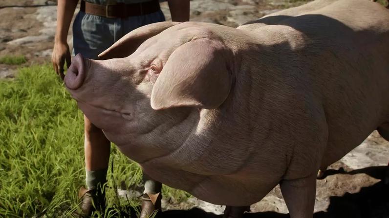 Fable ganha vídeo de jogabilidade estendida com direito a um porco falante