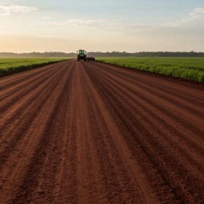 Prefeitura de Alto Paraíso investe quase R$ 280 mil em implementos agrícolas