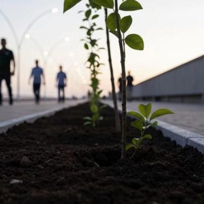 Prefeitura de Tramandaí abre licitação para revitalizar canteiro central de avenida
