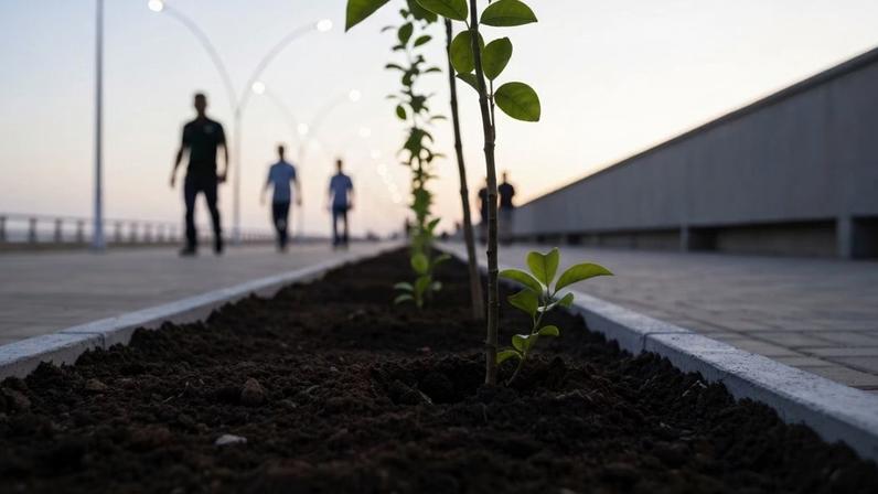 Prefeitura de Tramandaí abre licitação para revitalizar canteiro central de avenida