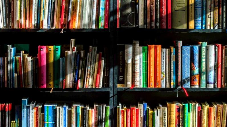 A principal novidade deste ano é a criação do Prêmio João do Rio, voltado exclusivamente para livros de crônicas.
