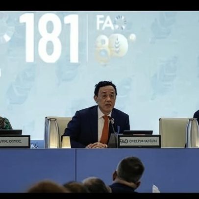 FAO aponta risco de choque em fertilizantes e na produção agrícola