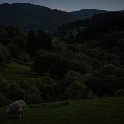 Wales reúne talento e recursos naturais em debate comparado à Inglaterra