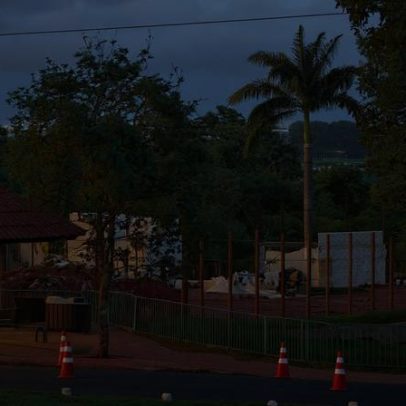 Zoo de Brasília se prepara para receber girafas traficadas pelo BioParque