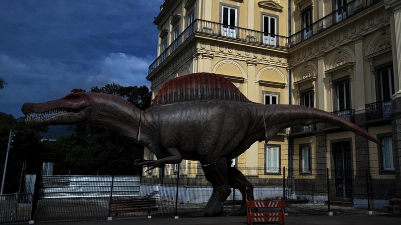 Réplica de dinossauro para o Museu Nacional. Foto: Museu Nacional/Divulgação