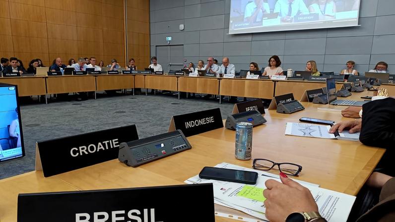 50 representantes de país, incluindo o Brasil, participam da reunião da OCDE. - Foto: CCS/IBGE