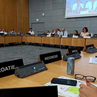 IBGE participa de reunião da OCDE e reforça agenda de modernização digital