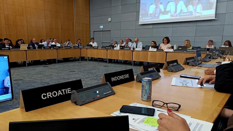 50 representantes de país, incluindo o Brasil, participam da reunião da OCDE. - Foto: CCS/IBGE