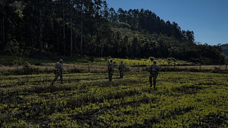 Roubo a banco em cidade de Santa Catarina dá errado
