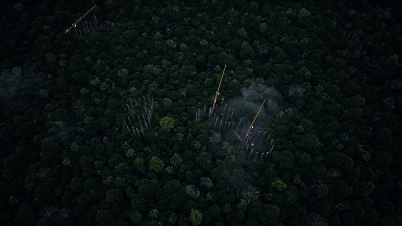 Anéis em torno das seis parcelas da floresta amazônica em que serão feitas as pesquisas do AmazonFace sobre os efeitos de uma atmosfera enriquecida com CO2.